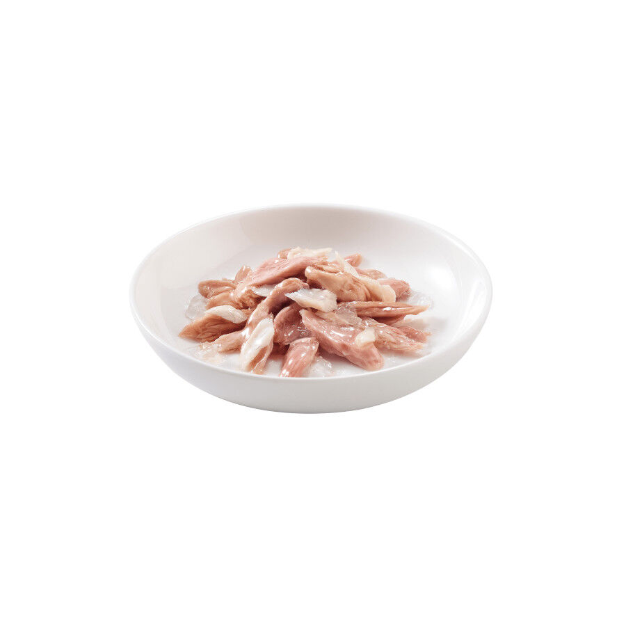 85 g Schesir Adult At&uacute;n con Lampuga lata para gatos, , large Imagen numero 2